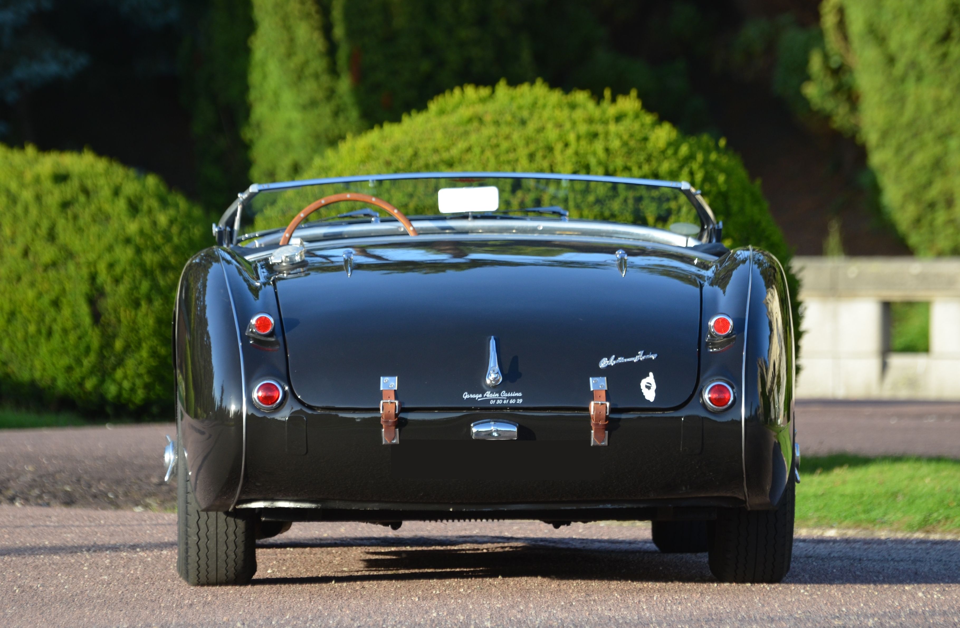 Loaded image